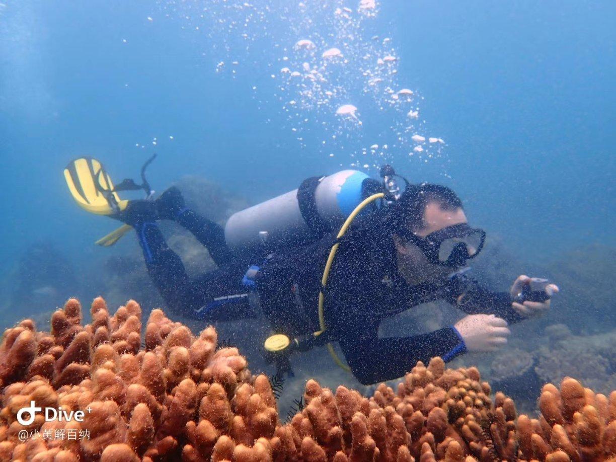 逃离水虎鱼湖